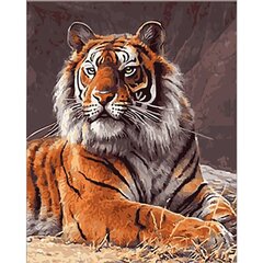 Gleznošanas komplekts pēc numuriem Tīģeris 40x50 cena un informācija | Gleznas pēc numuriem | 220.lv