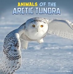 Animals of the Arctic Tundra цена и информация | Книги для подростков и молодежи | 220.lv