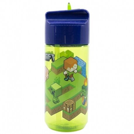 Pudele Minecraft 430 ml cena un informācija | Ūdens pudeles | 220.lv