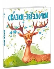   цена и информация | Книги для детей | 220.lv