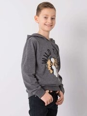 Tumši pelēks sporta krekls zēnam. cena un informācija | Zēnu jakas, džemperi, žaketes, vestes | 220.lv