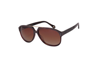 Солнцезащитные очки для женщин Eclat MF 207 04 62-14, коричневый с золотом цена и информация | Женские солнцезащитные очки | 220.lv