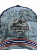 Детская кепка Sun City Jurassic World EV4053*02, зелёная, 3609085520365 цена и информация | Шапки, перчатки, шарфы для мальчиков | 220.lv