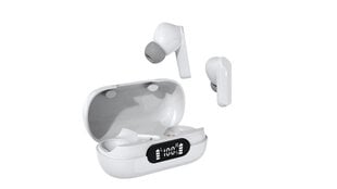 Bluetooth-наушники Denver Electronics TWE-40 цена и информация | Наушники с микрофоном Asus H1 Wireless Чёрный | 220.lv