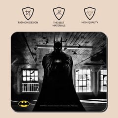 DC Comics Batman cena un informācija | Peles | 220.lv