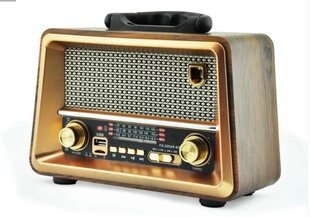 Radio YUEGAN YG-225US-BT цена и информация | Радиоприемники и будильники | 220.lv