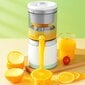 Citrus Juicer cena un informācija | Sulu spiedes | 220.lv