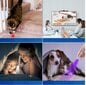 Kaķu un suņu rotaļlieta - lāzers cena un informācija | Rotaļlietas kaķiem | 220.lv