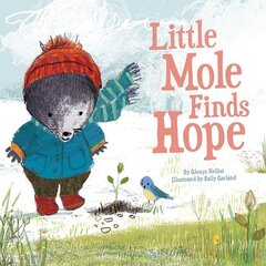 Little Mole Finds Hope cena un informācija | Grāmatas pusaudžiem un jauniešiem | 220.lv