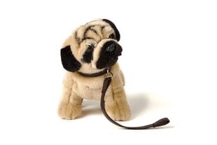 Plīša suns Mopsis ar pavadiņu, 23cm cena un informācija | Mīkstās (plīša) rotaļlietas | 220.lv