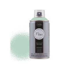 Fleur aerosola krāsa, zaļa, 300ml cena un informācija | Fleur Apģērbi, apavi, aksesuāri | 220.lv