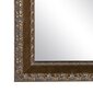 Sienas Spogulis 72,5 x 3 x 93 cm Bronza DMF цена и информация | Spoguļi | 220.lv