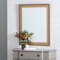Sienas Spogulis 72,5 x 3 x 93 cm Bronza DMF cena un informācija | Spoguļi | 220.lv