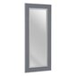 Sienas Spogulis 56 x 2 x 126 cm Pelēks Koks Balts cena un informācija | Spoguļi | 220.lv