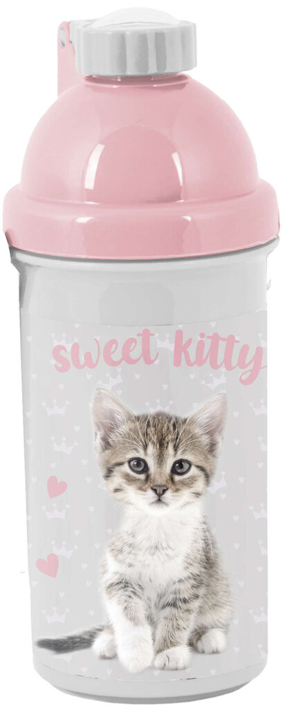 Skolas Bidon Paso Gray-Pink Sweet Kitty, 550 ml cena un informācija | Ūdens pudeles | 220.lv