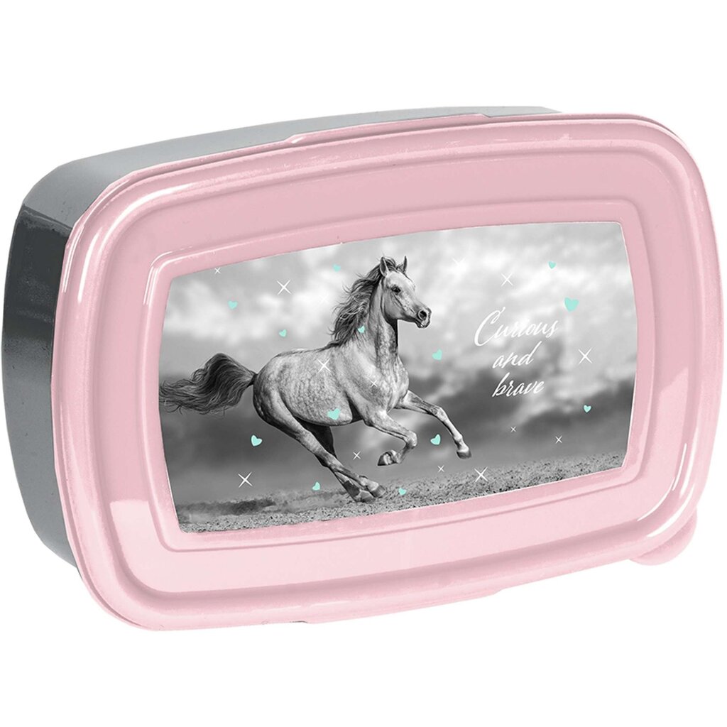 Brokastu kaste Paso Box Horse, 750 ml цена и информация | Bērnu trauki, piena uzglabāšanas trauciņi un piederumi | 220.lv