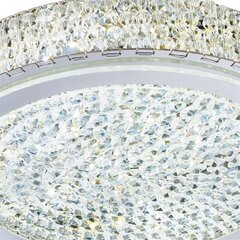 Searchlight Потолочный светильник Florida LED 2714CC цена и информация | Потолочный светильник | 220.lv