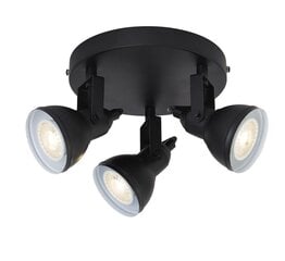 Searchlight Потолочный светильник прожектор Focus 1543BK цена и информация | Потолочный светильник | 220.lv