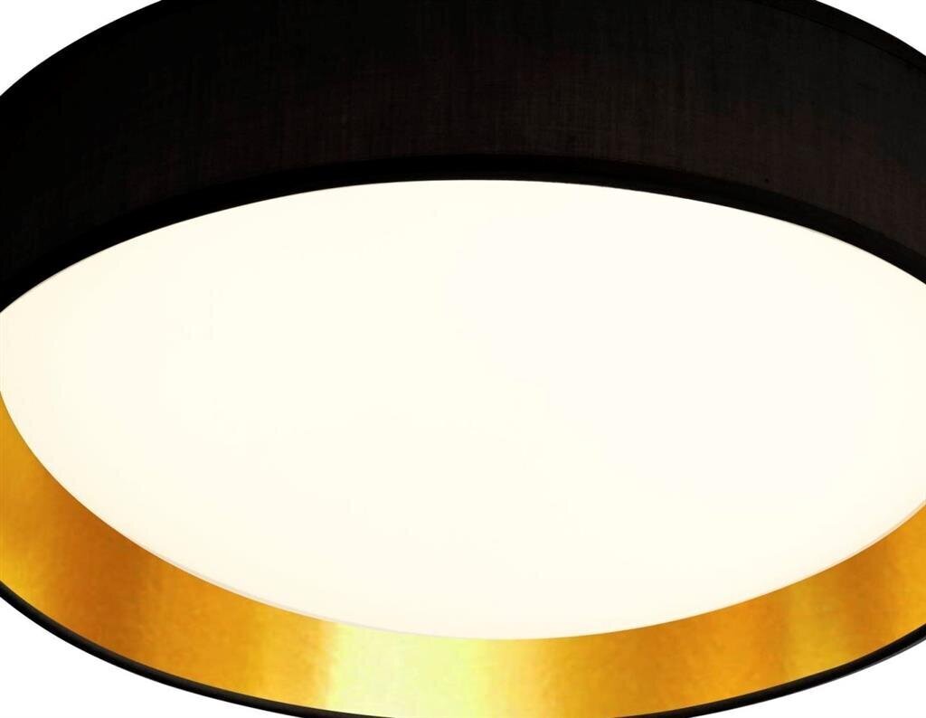 Searchlight griestu gaismeklis Gianna LED 9371-50BGO cena un informācija | Griestu lampas | 220.lv