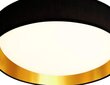 Searchlight griestu gaismeklis Gianna LED 9371-50BGO cena un informācija | Griestu lampas | 220.lv