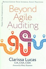 Beyond Agile Auditing: Three Core Components to Revolutionize Your Internal Audit Practices cena un informācija | Ekonomikas grāmatas | 220.lv