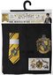 Komplekts Harry Potter, S cena un informācija | Karnevāla kostīmi, maskas un parūkas | 220.lv