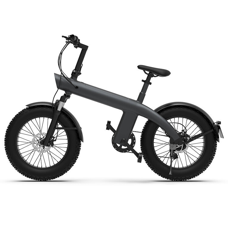 Elektriskais velosipēds HX Q3 Max, 20", pelēks, 750W, 13Ah cena un informācija | Elektrovelosipēdi | 220.lv