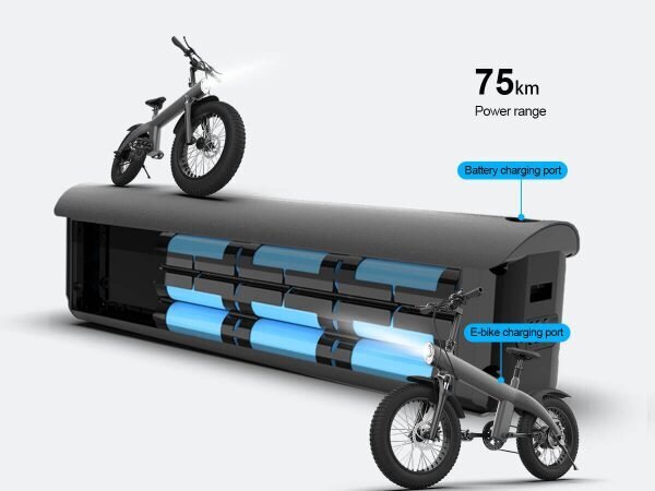 Elektriskais velosipēds HX Q3 Max, 20", pelēks, 750W, 13Ah cena un informācija | Elektrovelosipēdi | 220.lv