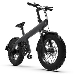 Elektriskais velosipēds HX Q3 Max, 20", pelēks, 750W, 13Ah цена и информация | Электровелосипеды | 220.lv