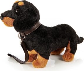 Plīša suns Taksis ar pavadiņu, 28cm cena un informācija | Mīkstās (plīša) rotaļlietas | 220.lv