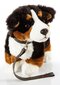 Plīša Bernes ganu suns ar pavadiņu, 23cm cena un informācija | Mīkstās (plīša) rotaļlietas | 220.lv