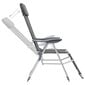 vidaXL salokāmi kempinga krēsli, kāju balsti, 2 gb., pelēks tekstilēns cena un informācija | Dārza krēsli | 220.lv