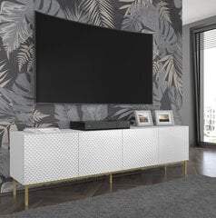 TV skapītis Akl Furniture Ravenna, balts cena un informācija | TV galdiņi | 220.lv
