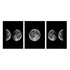 Репродукция из трех частей Звездная ночь 3SC190 цена и информация | Картины | 220.lv