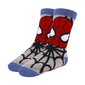 Zeķes Spiderman 3 pāri Daudzkrāsains cena un informācija | Zēnu zeķubikses, zeķes | 220.lv