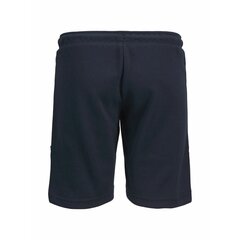 Короткие штаны JPSTAIR Jack & Jones 12189855 Морской Pебенок цена и информация | Zēnu šorti | 220.lv