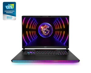 MSI Raider GE78HX 13VH-251PL цена и информация | Ноутбуки | 220.lv