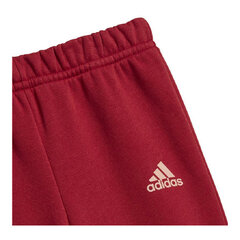 Sporta apģērbs mazulim Adidas Essentials Logo Sarkans cena un informācija | Apģērbu komplekti jaundzimušajiem | 220.lv