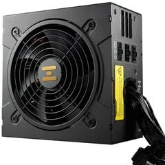 Fortron Hydro GT Pro 850W цена и информация | Блоки питания (PSU) | 220.lv