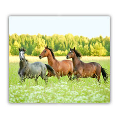 Tulup Griešanas dēlis, Zirgi galopā, 60x52 cm cena un informācija | Griešanas dēlīši | 220.lv