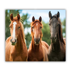 Tulup Griešanas dēlis, Trīs zirgi, 60x52 cm цена и информация | Pазделочные доски | 220.lv