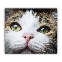 Tulup Griešanas dēlis, Zaļo kaķu acis, 60x52 cm цена и информация | Pазделочные доски | 220.lv