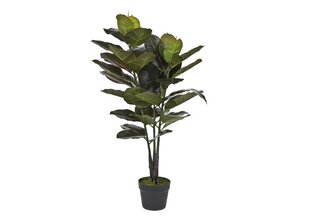 Augs podiņā Ficus 90cm (mākslīgais) цена и информация | Искусственные цветы | 220.lv