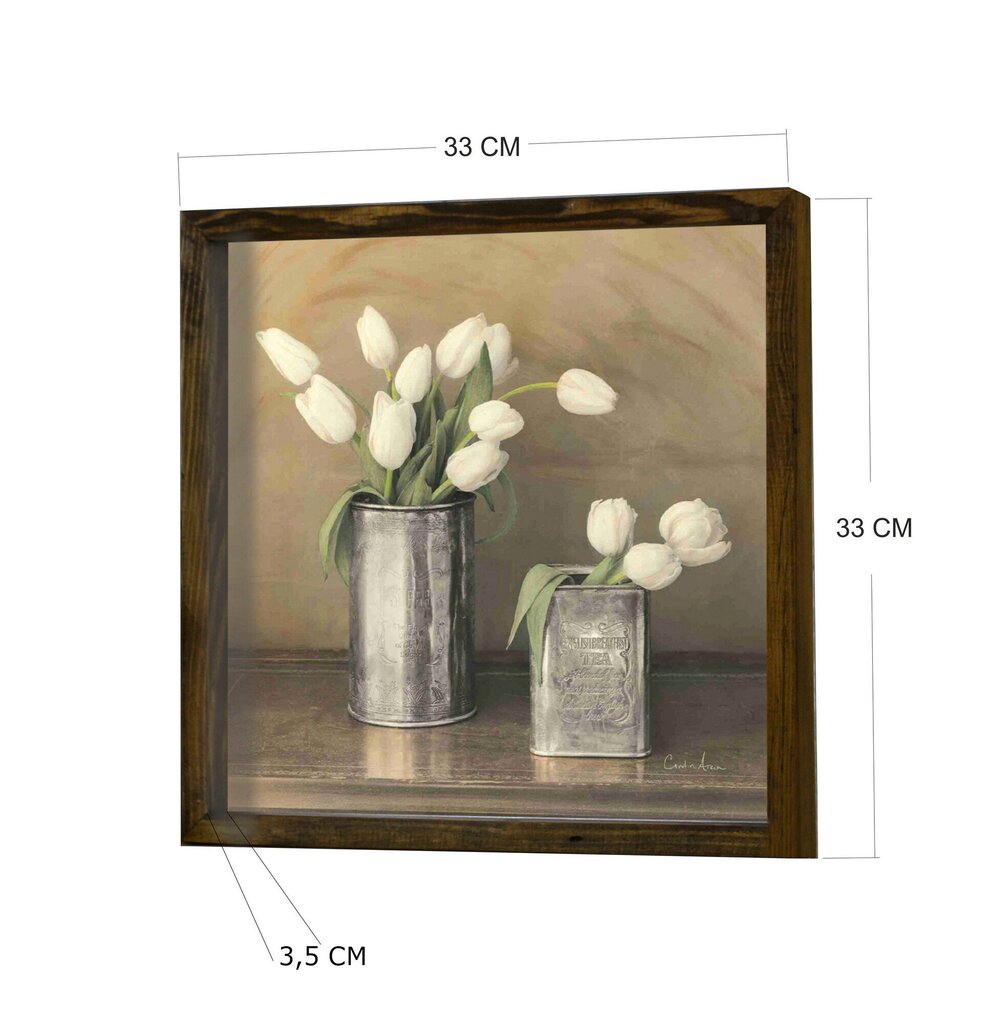 Reprodukcija 34 x 34 cm cena un informācija | Gleznas | 220.lv