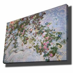Reprodukcija 70 x 100 cm cena un informācija | Gleznas | 220.lv