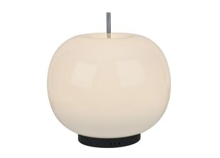 Galda lampa Apple MT5070-1A sudraba (277928) цена и информация | Настольные светильники | 220.lv