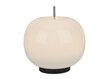 Galda lampa Apple MT5070-1A sudraba (277928) cena un informācija | Galda lampas | 220.lv