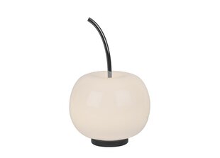Galda lampa Apple MT5069-1C-GL sudraba (277922) цена и информация | Настольные светильники | 220.lv
