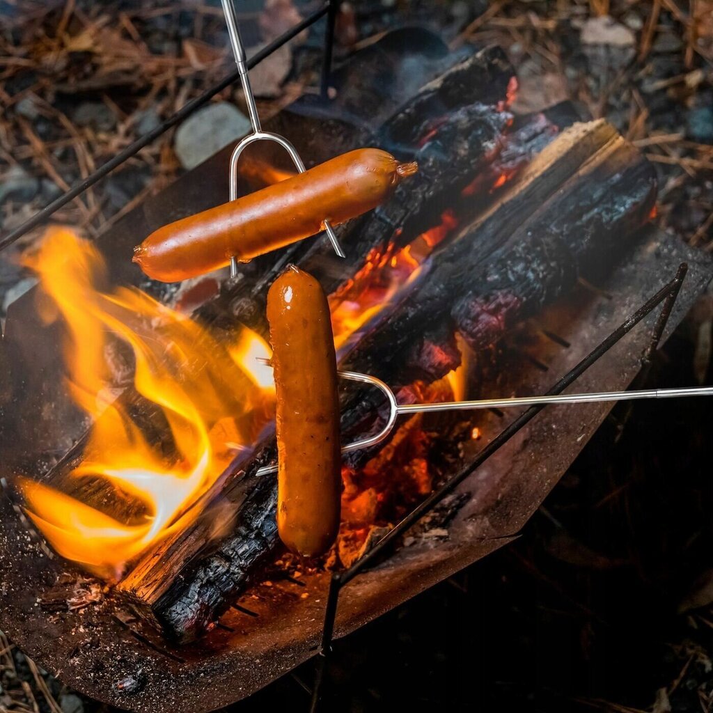 Teleskopiski ugunskura kociņi grilam, 4 gab cena un informācija | Ugunskura katli, trauki un galda piederumi  | 220.lv