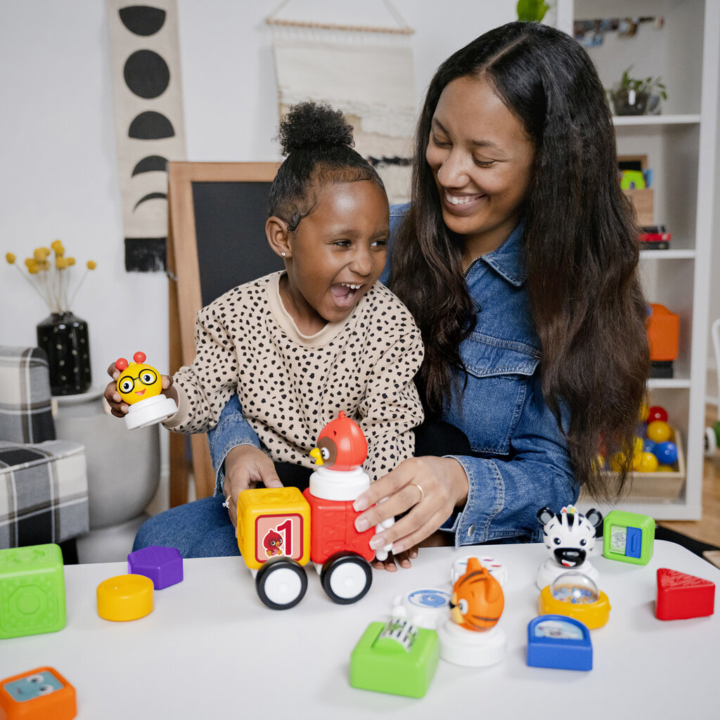 Baby Einstein magnētiskie klucīši, 20 gab cena un informācija | Rotaļlietas zīdaiņiem | 220.lv